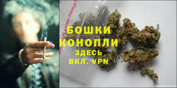 гашик Гусиноозёрск