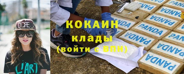 гашик Гусиноозёрск