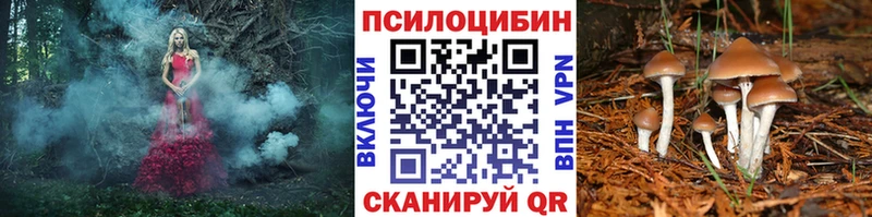 Галлюциногенные грибы Cubensis  Купить где  Каменка 
